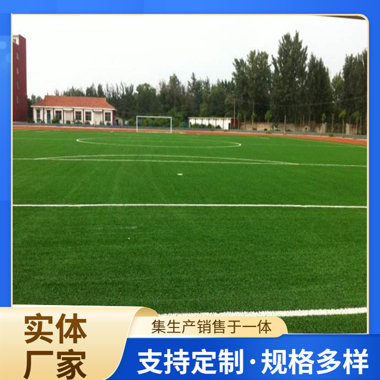 益阳市塑胶跑道人造草坪 - 厂家
